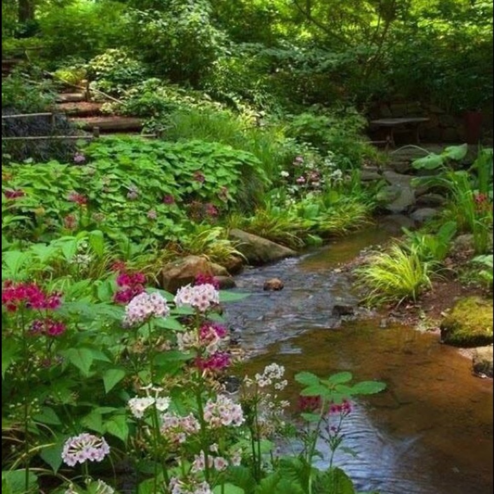 Meet your Posher, Vicki